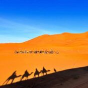 Sahara Camel Trekking: The Ultimate Morocco Experience