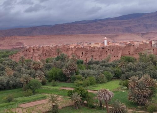Palm Grove Villages