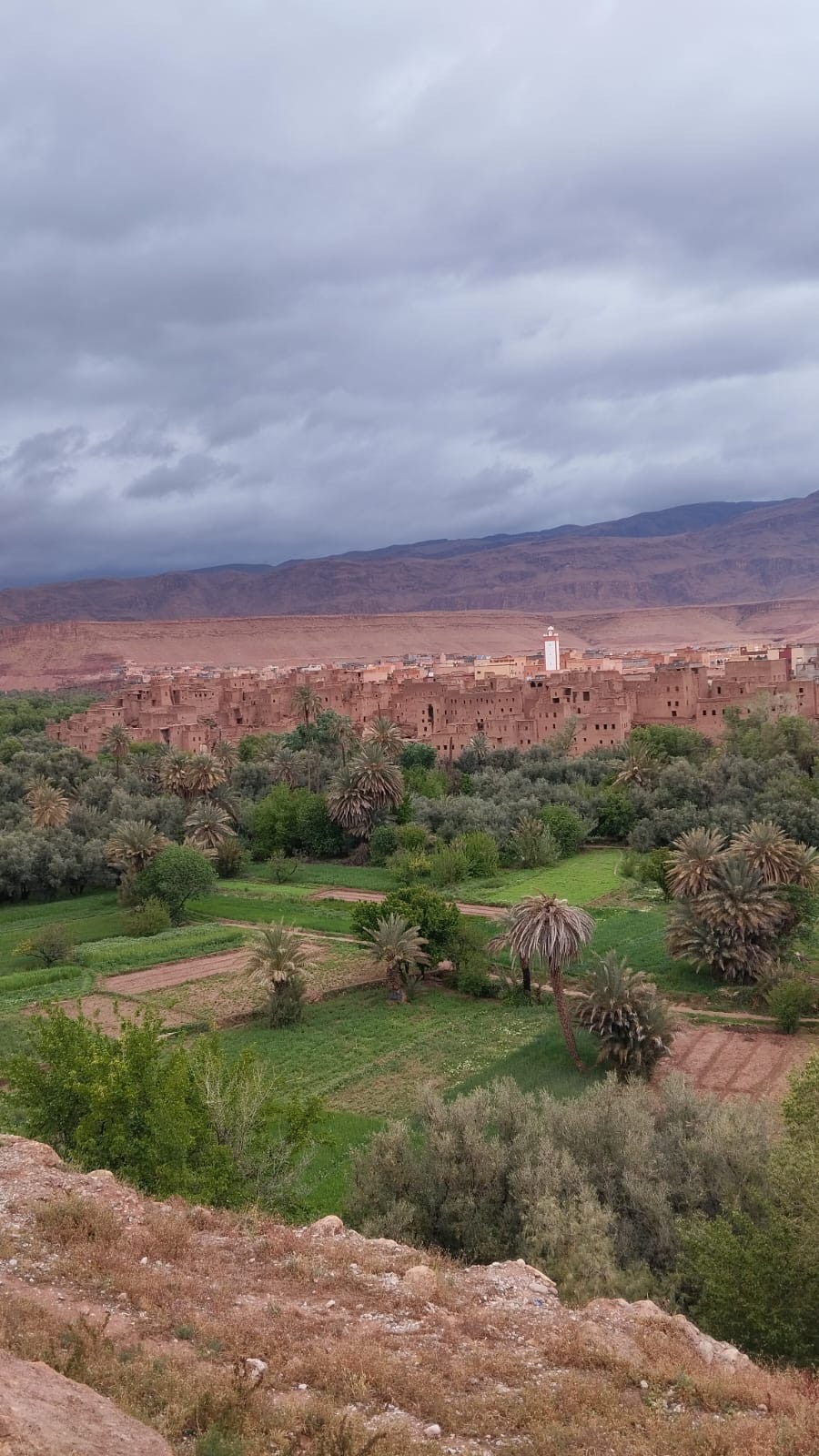 Palm Grove Villages