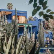 6 Tours Available Bustling souks, ancient palaces, rooftop restaurants, and desert gateways.