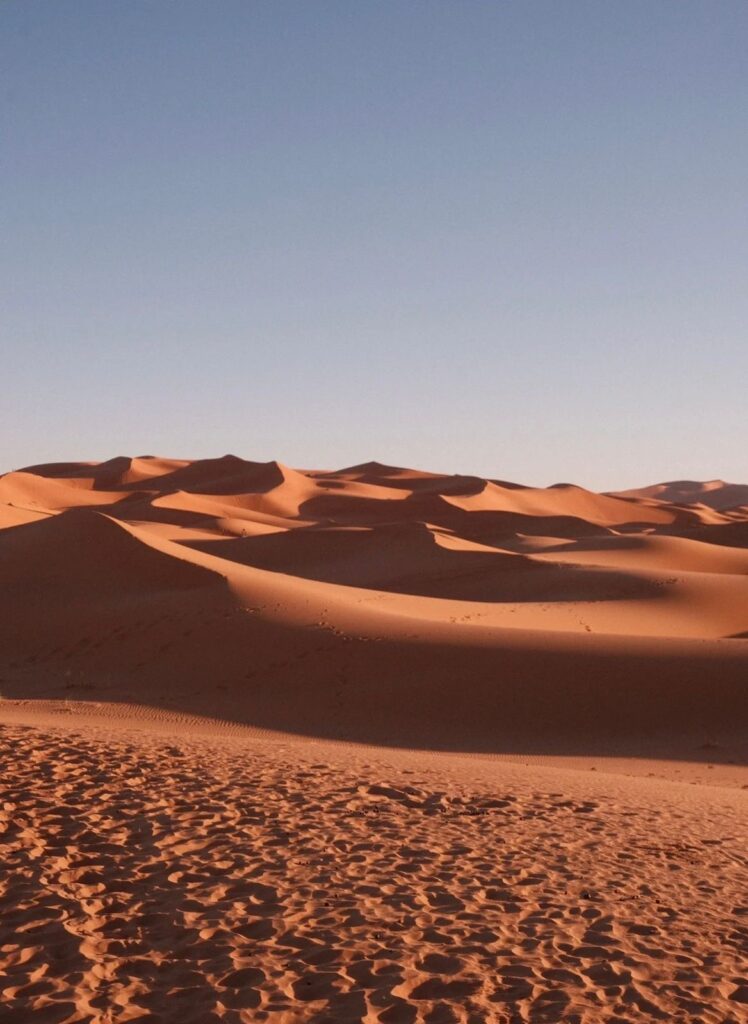 Golden Dunes of the Sahara: Morocco’s Desert Wonderland